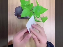 پانسمان فیلم الاستیک نیمه شفاف